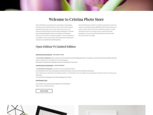 Flamingo Showit Website Template