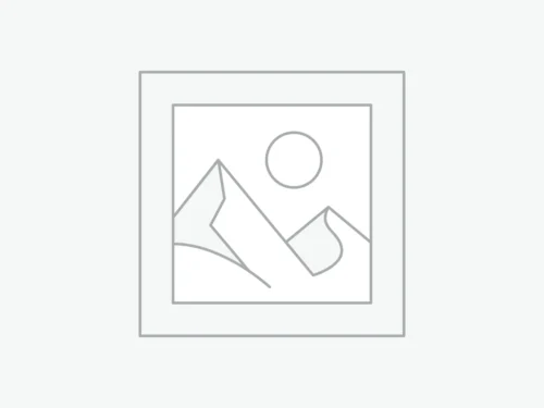 Conchal Showit Website Template